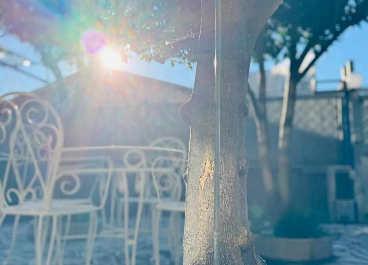 Fil Rouge Hotel Ciampino Guest house