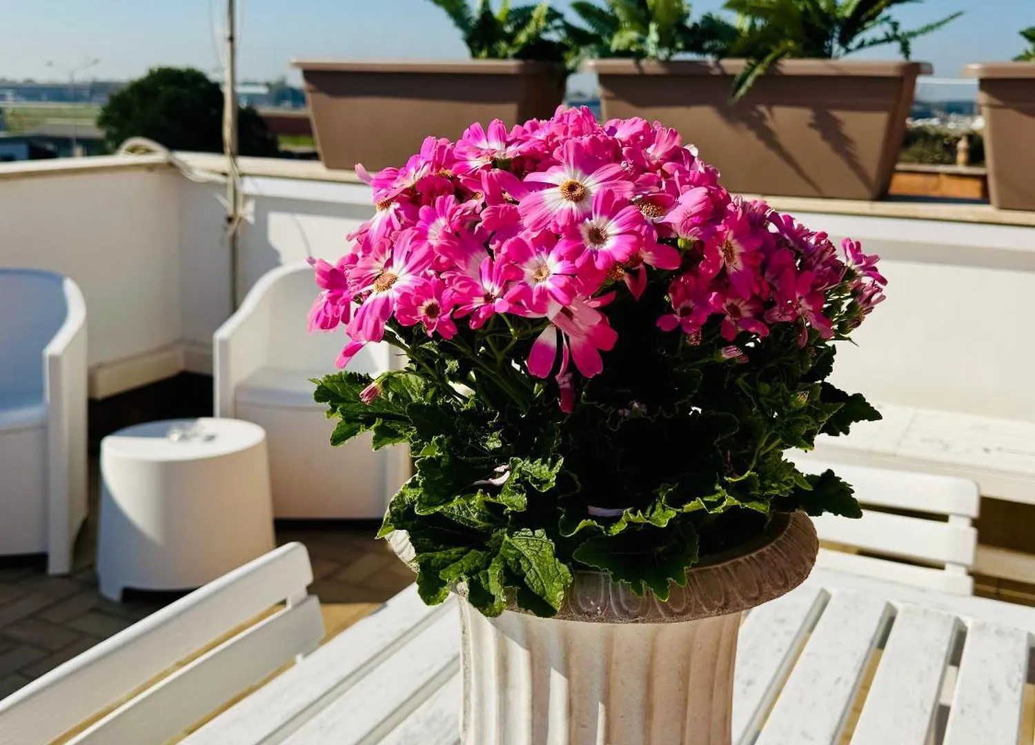 Fil Rouge Hotel Ciampino 0*,  Italy