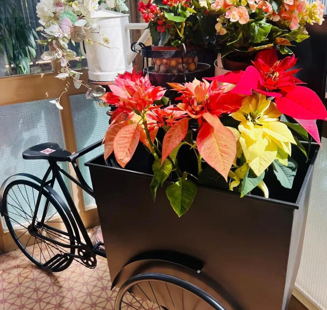 Fil Rouge Hotel Ciampino Guest house